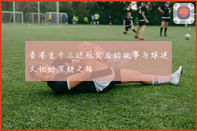 香港金牛三连冠背后的故事与球迷文化的深耕之路