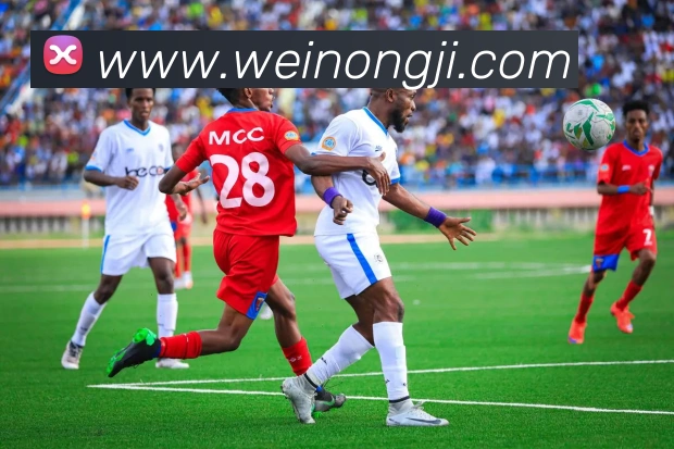 多媒体互动体验